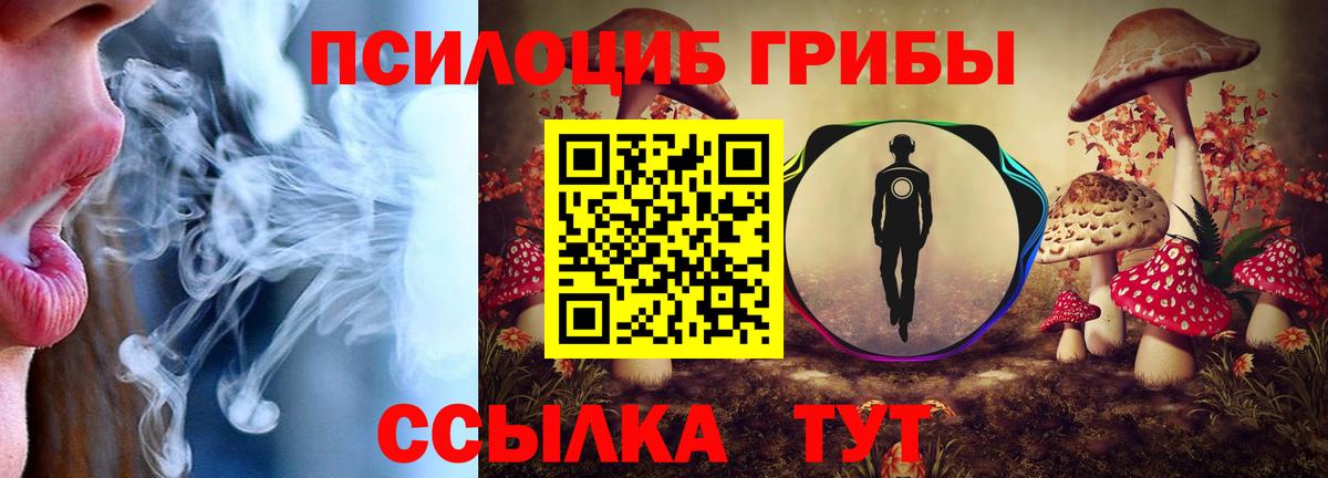 Псилоцибиновые грибы мицелий Магадан