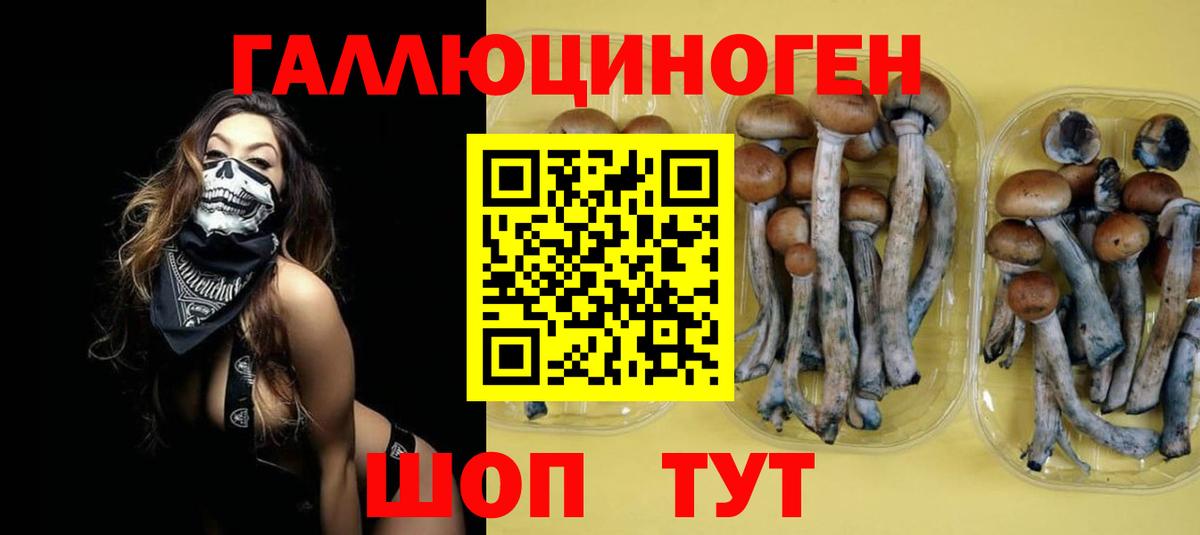 Галлюциногенные грибы Psilocybine cubensis  Вход с VPN  Псилоцибиновые грибы мухоморы  Магадан 